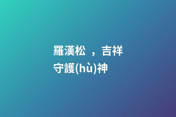 羅漢松，吉祥守護(hù)神